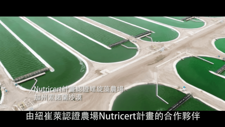 Auricont asia t sk.png