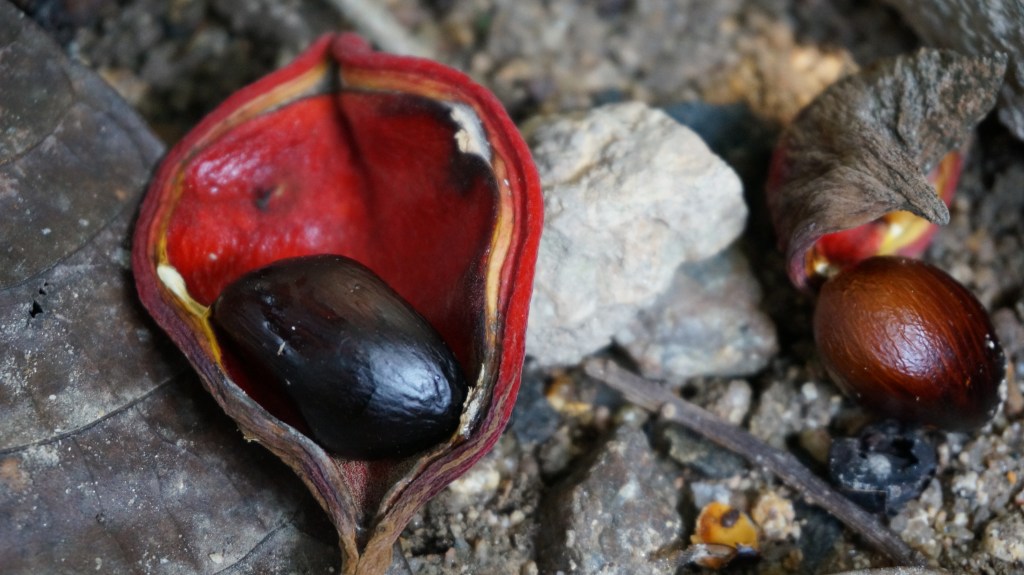 這張圖片的 alt 屬性值為空，它的檔案名稱為 dsc07841.jpg