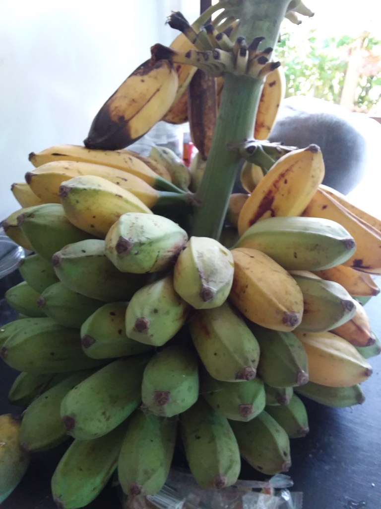 這張圖片的 alt 屬性值為空，它的檔案名稱為 20210820_085651-1.jpg