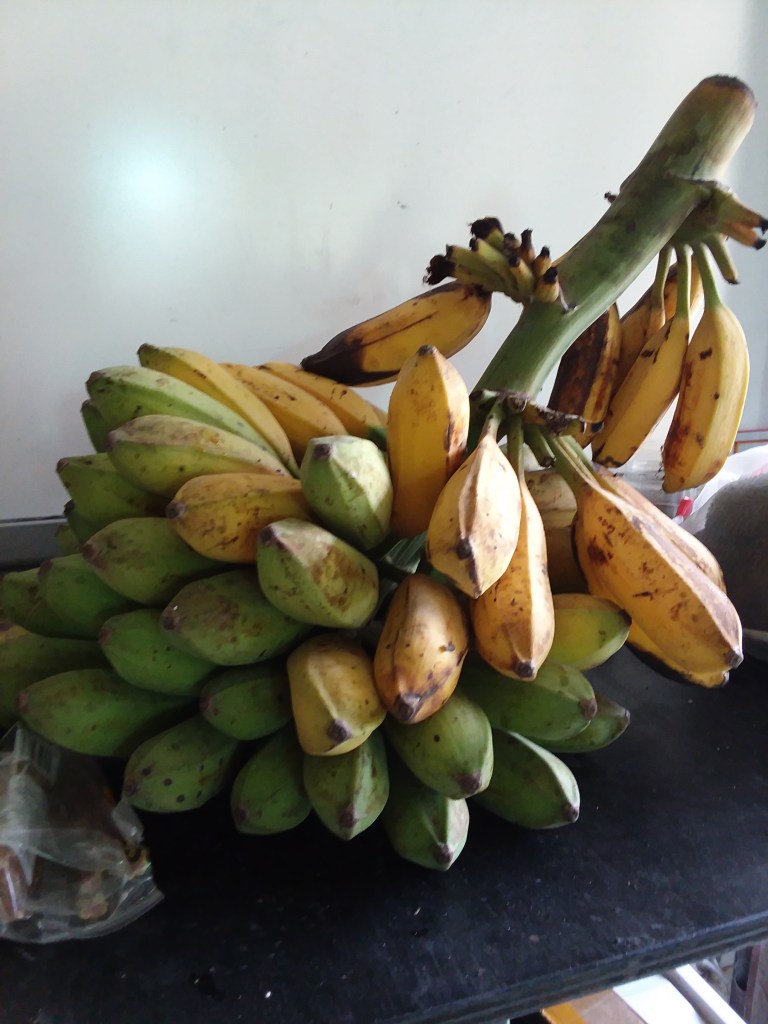 這張圖片的 alt 屬性值為空，它的檔案名稱為 20210820_085702.jpg